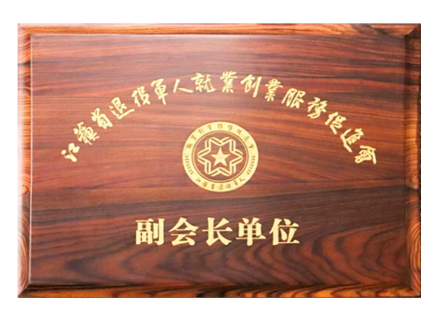 江蘇省退役軍人就業(yè)促進(jìn)會(huì)副會(huì)長(zhǎng)單位